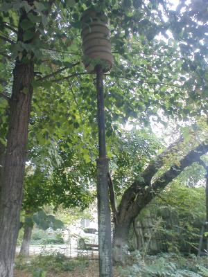 Прикрепленное изображение: DSC00233.JPG